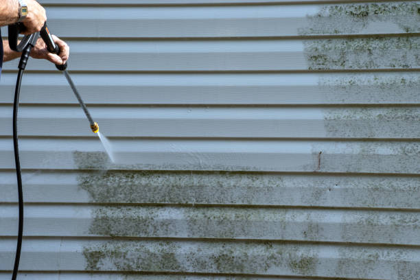 Best Storm Damage Siding Repair  in Hollins, VA