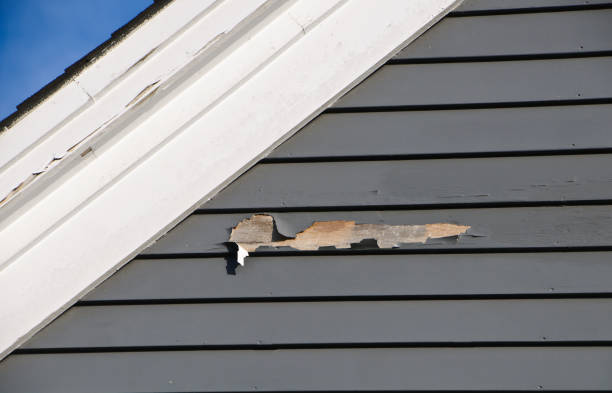 Affordable siding repair and maintenance services in Hollins, VA