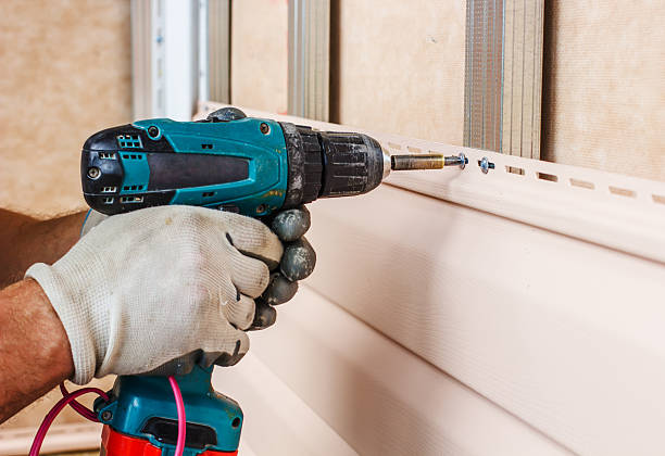 Best Custom Trim and Detailing for Siding  in Hollins, VA